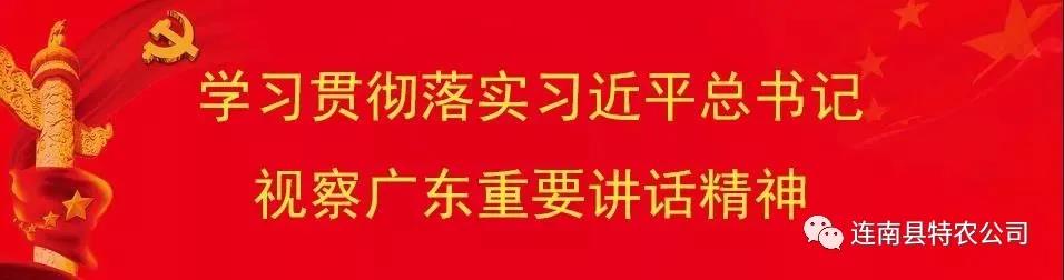 管家婆资料公开网站