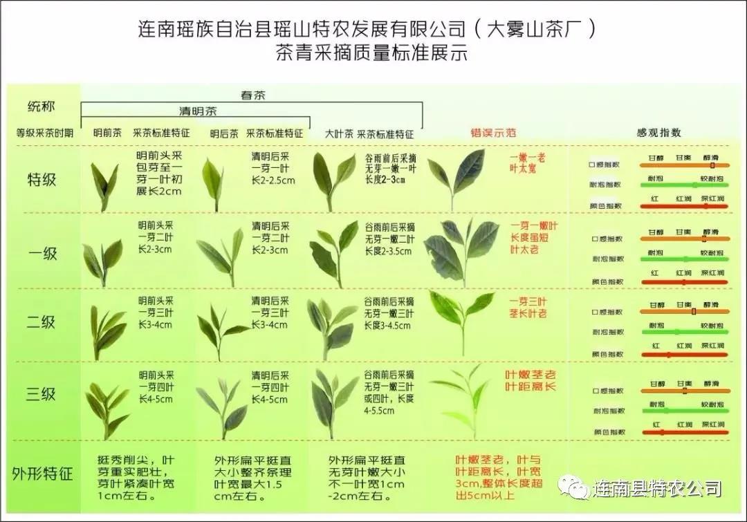 管家婆资料公开网站