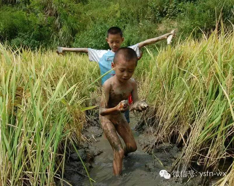 管家婆资料公开网站