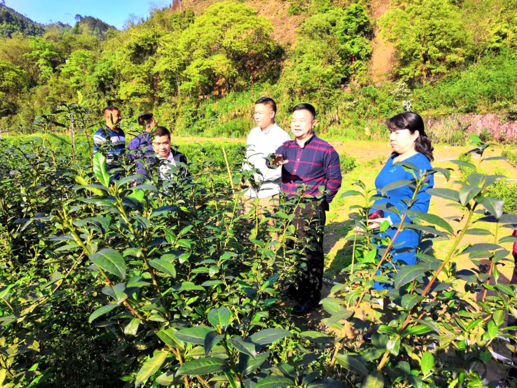 管家婆资料公开网站