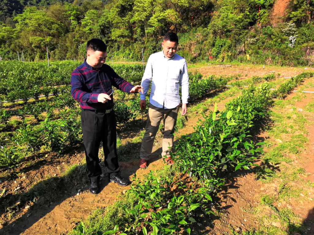 管家婆资料公开网站