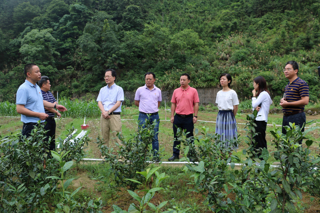 管家婆资料公开网站