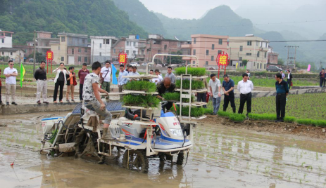 管家婆资料公开网站