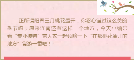 管家婆资料公开网站