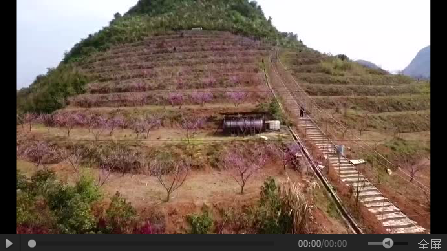 管家婆资料公开网站