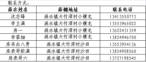 管家婆资料公开网站