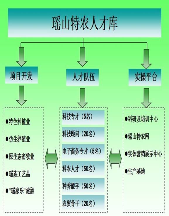 管家婆资料公开网站