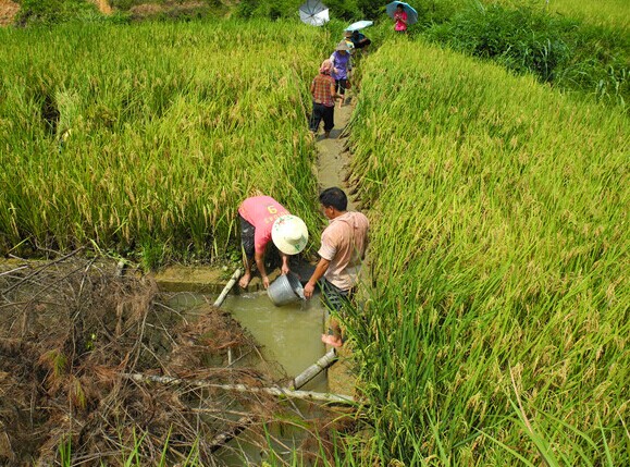 管家婆资料公开网站