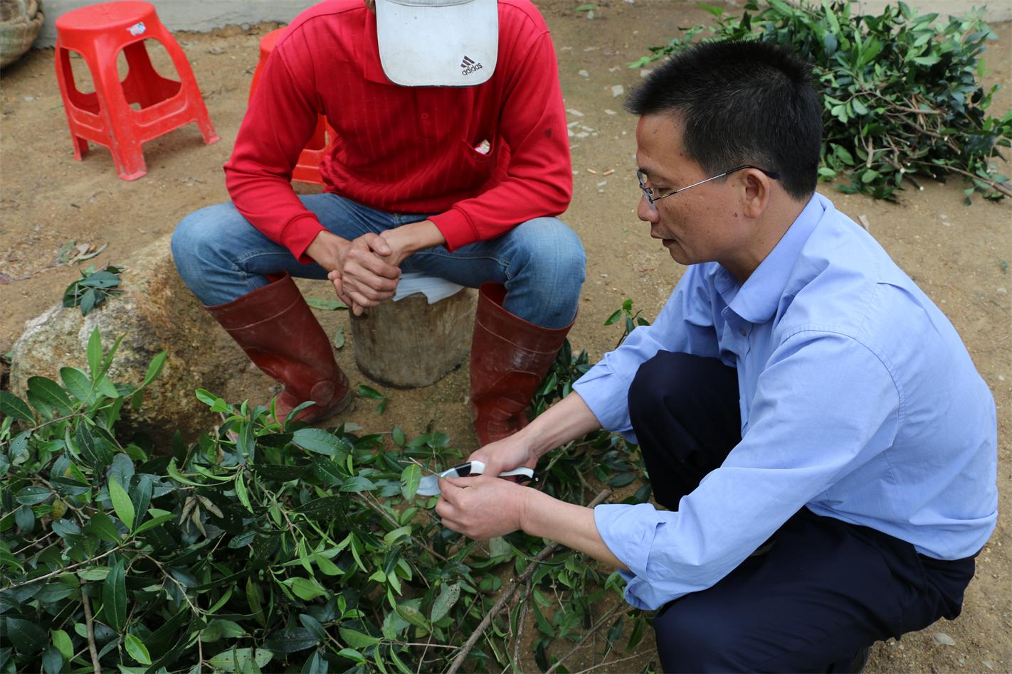 管家婆资料公开网站