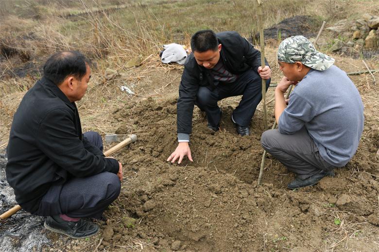 管家婆资料公开网站