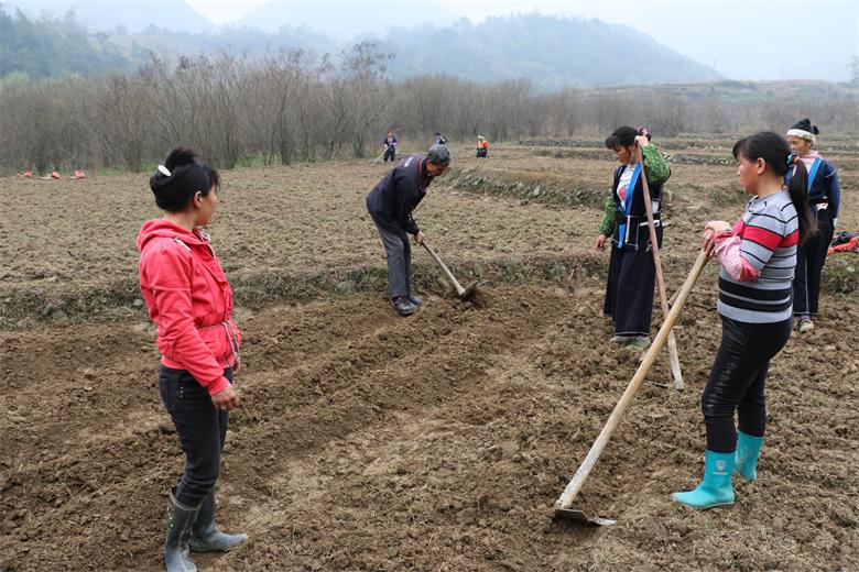 管家婆资料公开网站