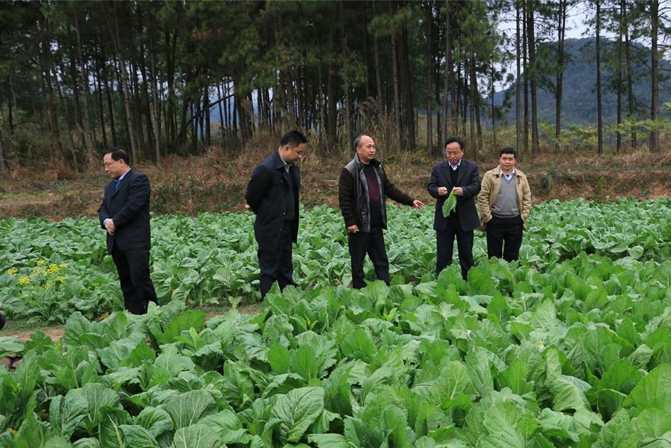 管家婆资料公开网站