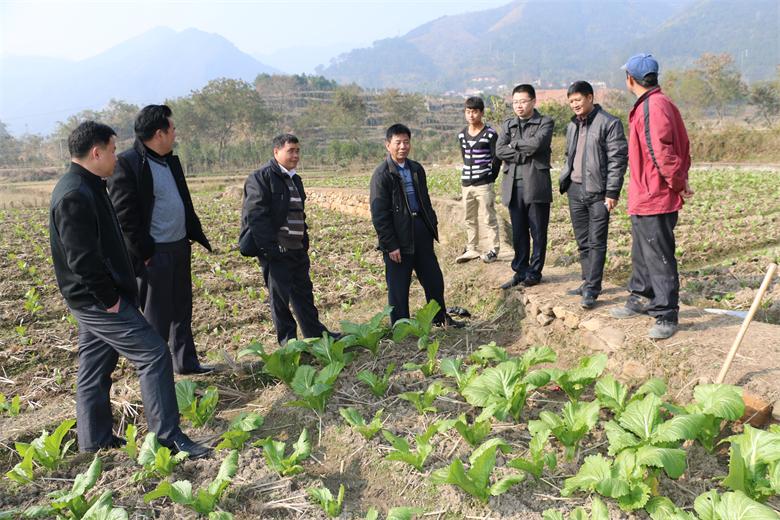 管家婆资料公开网站