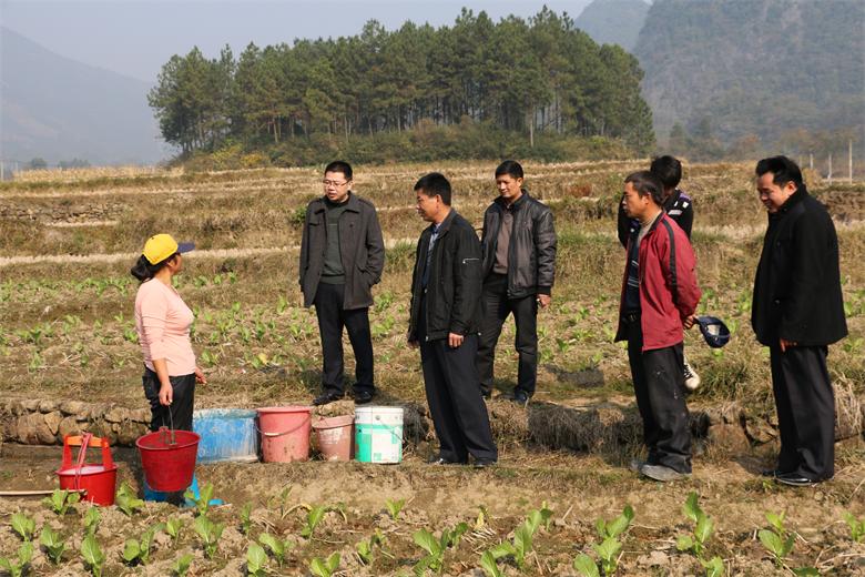 管家婆资料公开网站