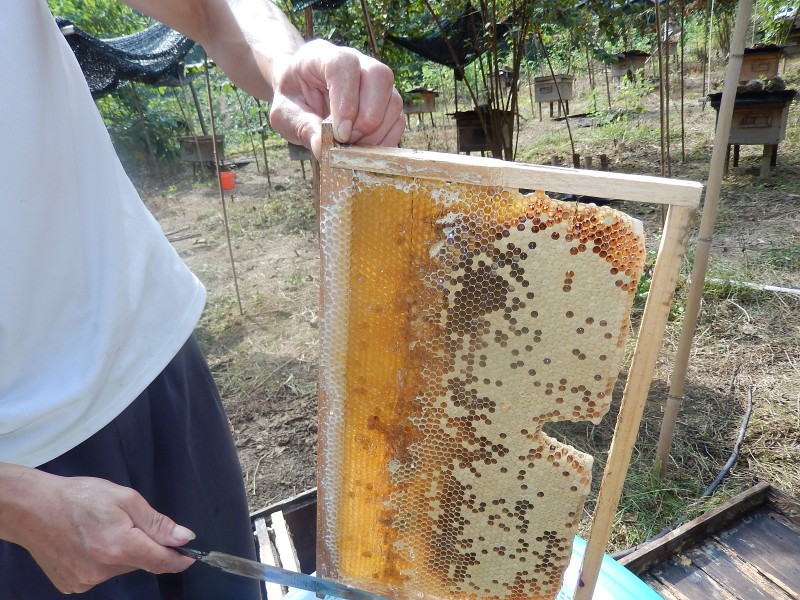 管家婆资料公开网站