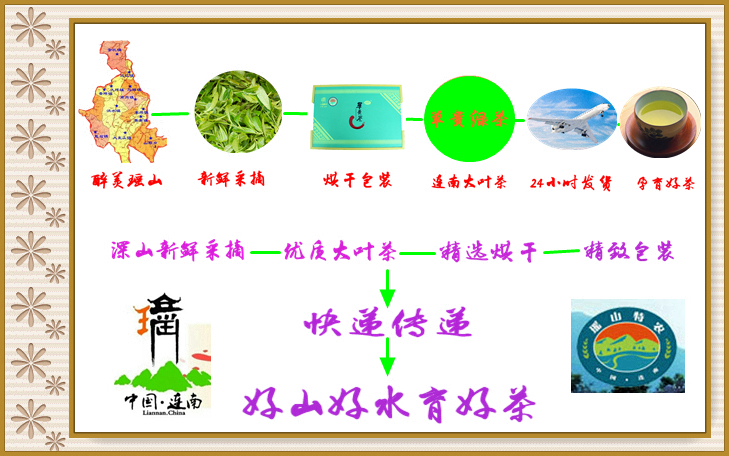 管家婆资料公开网站