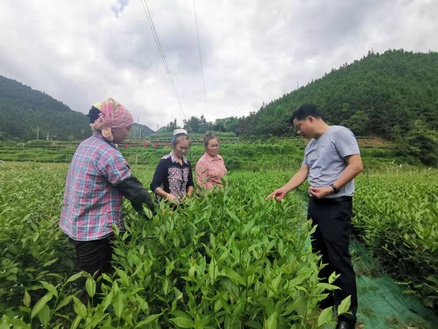 管家婆资料公开网站